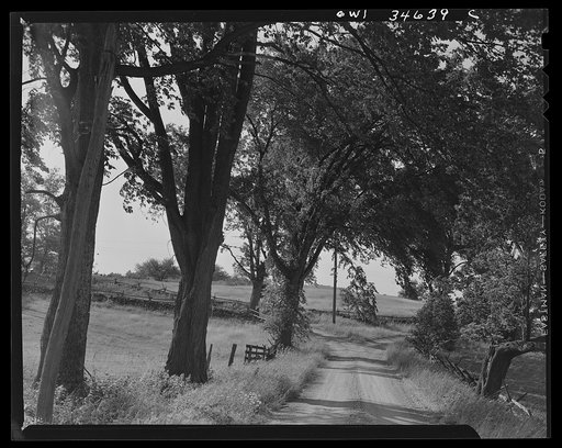 Farm road in the Taconic range hills on the edge of the Hudson River Valley in New York state