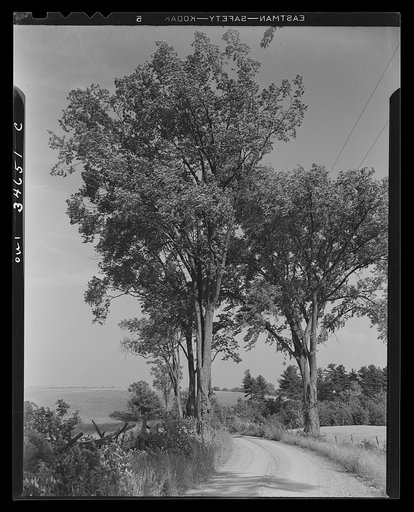 Country road in the Taconic Hills near the Hudson River Valley in New York State