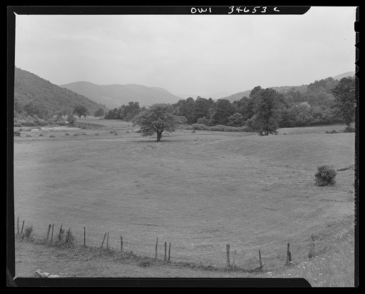 Farmland along the upper Delaware River in New York state