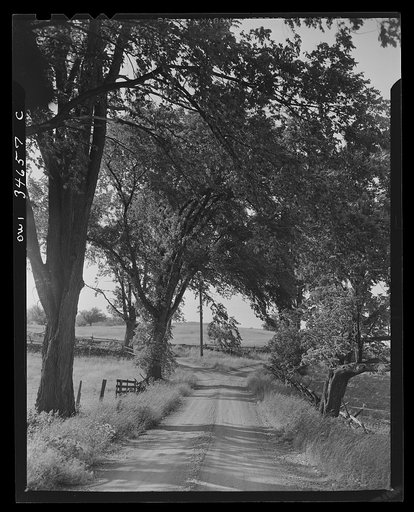 Country Road, Taconic Hills, New York