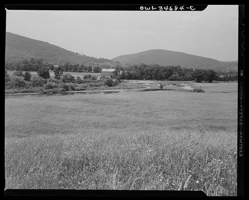 Farmland along the upper Delaware River in New York state