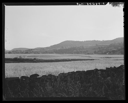 Farmland along the upper Delaware River in New York state