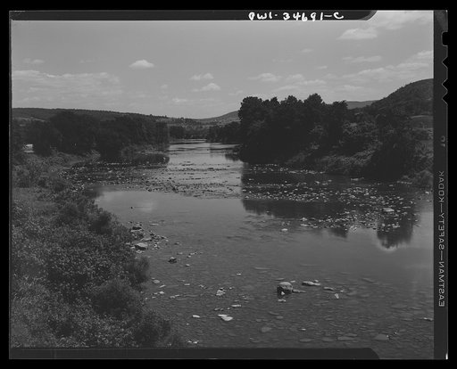 A tributary of the Delaware River in New York state