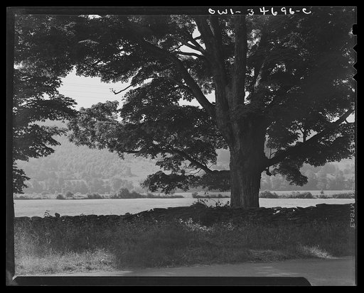 Farm land along the upper Delaware River in New York state