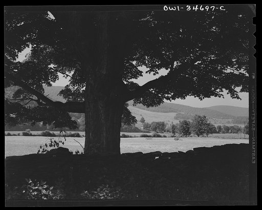 Farmland along the upper Delaware River in New York state