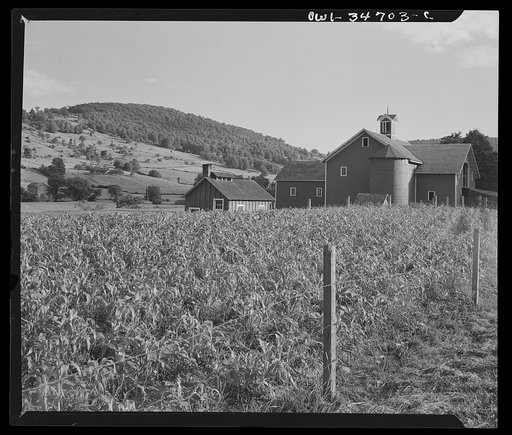 Along the upper Delaware River in New York state