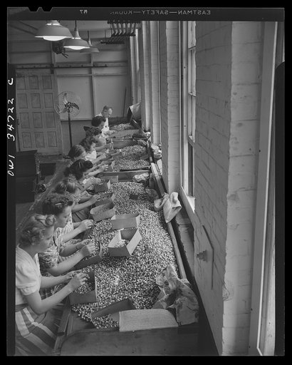 New Britain, Connecticut. Women at the Stanley plant searching for defective bullet jackets