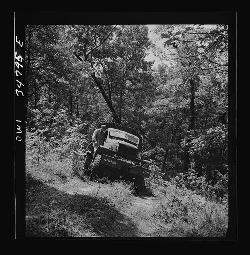 Untitled photo, possibly related to: Warner Robins, Georgia. Air Service Command, Robins Field. Part of the training of the truck drivers of the depot group consists of driving many times through an obstacle course in the woods