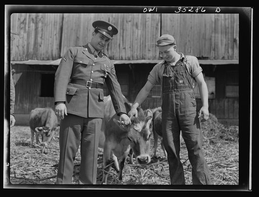 Rockville (vicinity), Maryland. Harvey Horton, visiting the N.C. Stiles dairy farm while on furlough from Fort Belvoir, Virginia, posing with sixteen-year old Charles Stiles and a reluctant cow