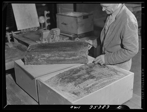 Salinas Valley, California. Guayule rubber cakes
