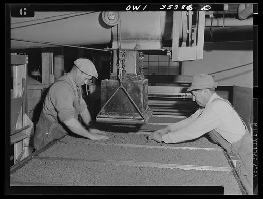 Salinas Valley, California. Guayule rubber "worms" being processed