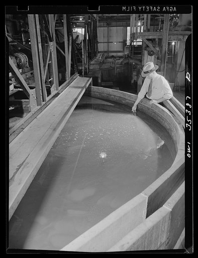 Salinas Valley, California. A settling tank, one of the stages of the rubber production from guayule