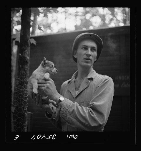 Untitled photo, possibly related to: Greenville, South Carolina. Air Service Command. Lieutenant Rosen of the Quartermaster Truck Company, 25th service group, with a pet puppy