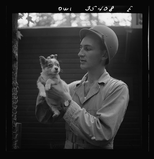 Greenville, South Carolina. Air Service Command. Lieutenant Rosen of the Quartermaster Truck Company, 25th service group, with a pet puppy
