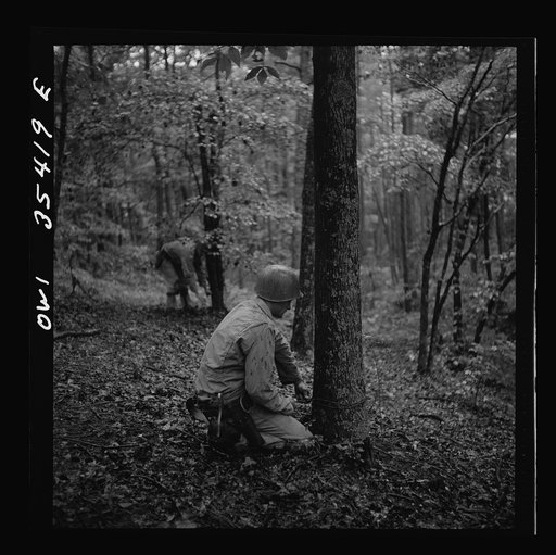 Greenville, South Carolina. Air Service Command. Men of the 1067th signal company of the 25th service group laying wire in a wooded area