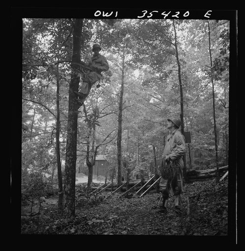 Greenville, South Carolina. Air Service Command. Men of the 1067th signal company of the 25th service group laying wire in a wooded area
