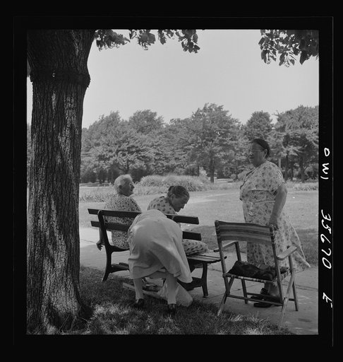 Philadelphia, Pennsylvania. A group of women in the shade at Fairmont Park