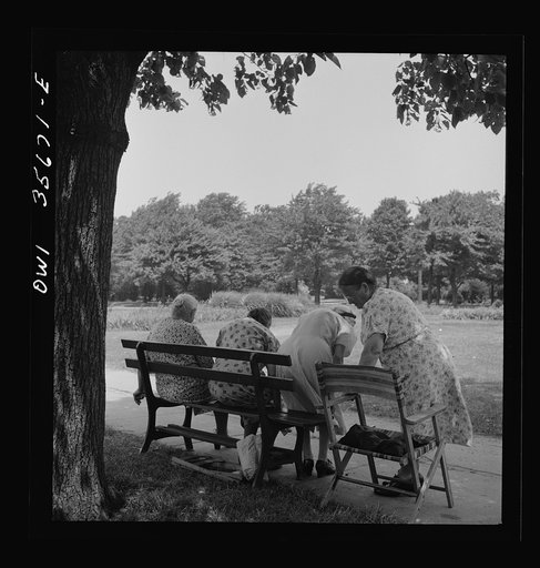 Untitled photo, possibly related to: Philadelphia, Pennsylvania. A group of women in the shade at Fairmont Park