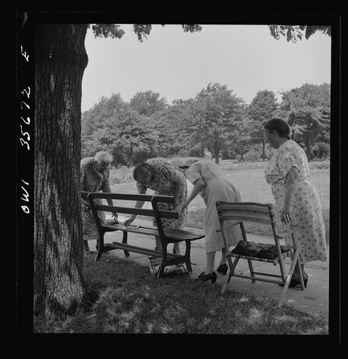 Untitled photo, possibly related to: Philadelphia, Pennsylvania. A group of women in the shade at Fairmont Park