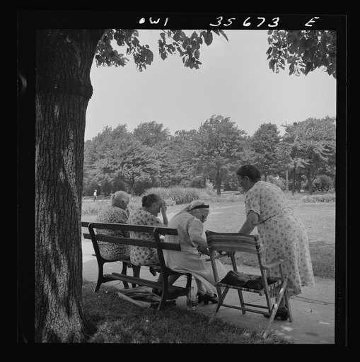 Untitled photo, possibly related to: Philadelphia, Pennsylvania. A group of women in the shade at Fairmont Park