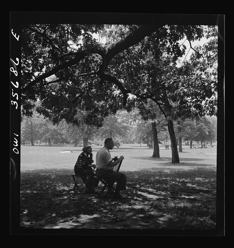 Untitled photo, possibly related to: Philadelphia, Pennsylvania. Watching the tennis players from the shade of the trees in Fairmont Park