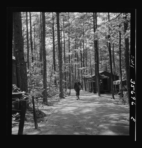 Untitled photo, possibly related to: Greenville, South Carolina. Air Service Command. Wooded area in which most of the 25th service group is encamped