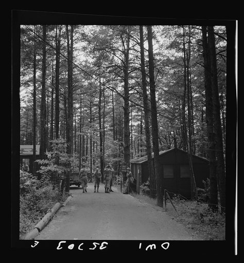 Greenville, South Carolina. Air Service Command. Wooded area in which most of the 25th service group is encamped