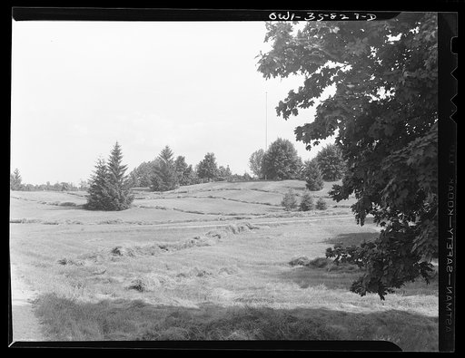 Detroit (vicinity), Michigan.  A hayfield