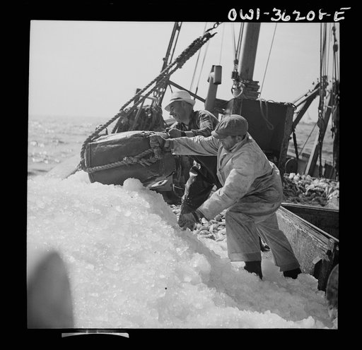Gloucester, Massachusetts. Crew members throw overboard excess ice from "Old Glory's" hold. Fishermen allow a proportion of one ton of ice to three tons of fish. When the catch is unusally large, as on this trip, some ice is removed to make room for the fish