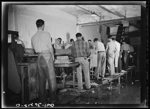Gloucester, Massachusetts. Men on the filleting line in a fish packing plant