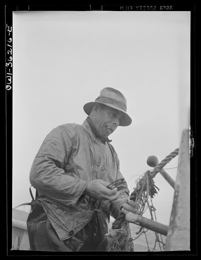 On board a fishing vessel out from the Gloucester, Massachusetts. This man is mending a net, rehanging the fore wing to the headrow. Note the tool called a seaman's tatting needle, on which the twine is wound in a peculiar fashion