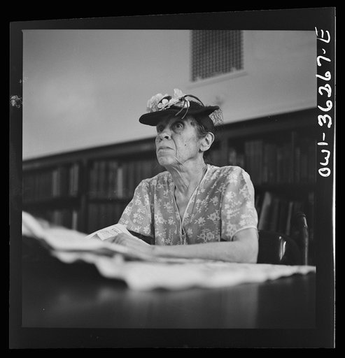 Washington, D.C. A woman in the reading room of a public library