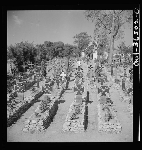 Tunis, Tunisia. A German military cemetery on the outskirts of Tunis