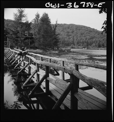 Arden, New York. Interracial activities at Camp Gaylord White and Ellen Marvin, where children are aided by the Methodist Camp Service. The view from the bridge