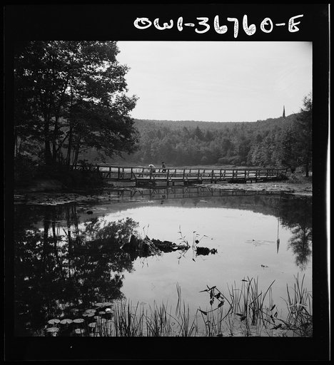Arden, New York. Interracial activities at Camp Gaylord White, where children are aided by the Methodist Camp Service. A bridge and background scenery