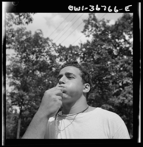 Untitled photo, possibly related to: Southfields, New York. Interracial activities at Camp Nathan Hale, where children are aided by the Methodist Camp Service. The town crier, Danny Poocchiari