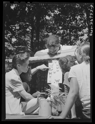 Bear Mountain, New York. Interracial activities at Camp Fern Rock, where children are aided by the Methodist Camp Service. Nature study