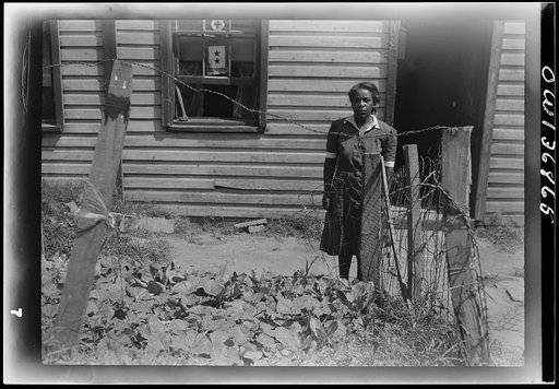Washington, D.C. A resident of the Southwest section and her Victory garden