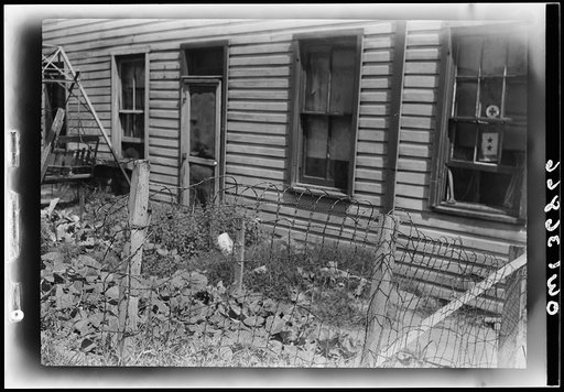 Washington, D.C. A Victory garden in the Southwest section