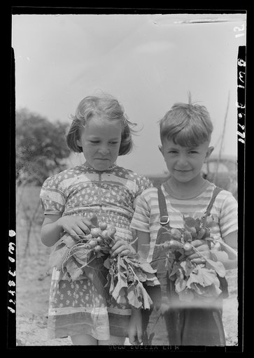 Washington, D.C. Children with radishes grown in the Fairlawn Avenue Victory gardens