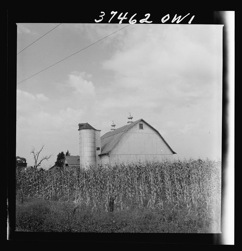 A farm between Columbus and Cincinnati, Ohio
