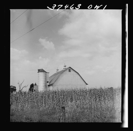 Untitled photo, possibly related to: A farm between Columbus and Cincinnati, Ohio