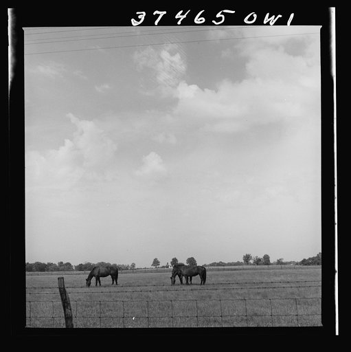 A farm between Columbus and Cincinnati, Ohio