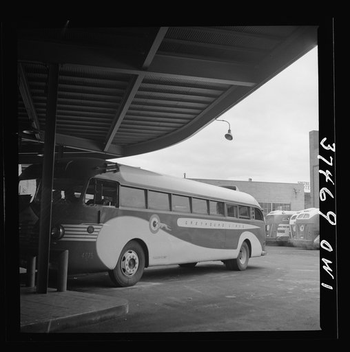 Cincinnati, Ohio. Buses at the Greyhound depot