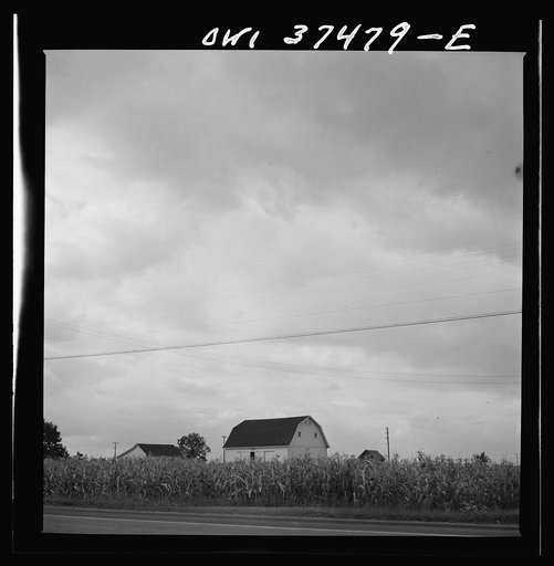 Untitled photo, possibly related to: Farms along the bus route between Columbus and Cincinnati, Ohio