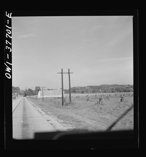A blank billboard between Chicago, Illinois and Cincinnati, Ohio as seen from a Greyhound bus