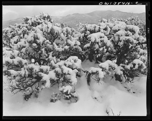 Snow on the mountains of northern New Mexico