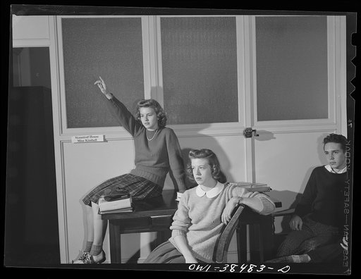 Washington, D.C. A discussion at a meeting of the Woodrow Wilson High School student council among members from one house