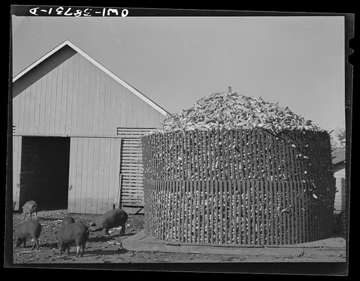 Untitled photo, possibly related to: Miscellaneous lot of photographs by Barbara Wright, e.g. University of Virginia, Franconia, New Hampshire, Maine. Corn crib. Iowa