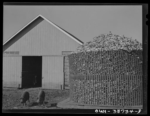 Untitled photo, possibly related to: Miscellaneous lot of photographs by Barbara Wright, e.g. University of Virginia, Franconia, New Hampshire, Maine. Corn crib. Iowa